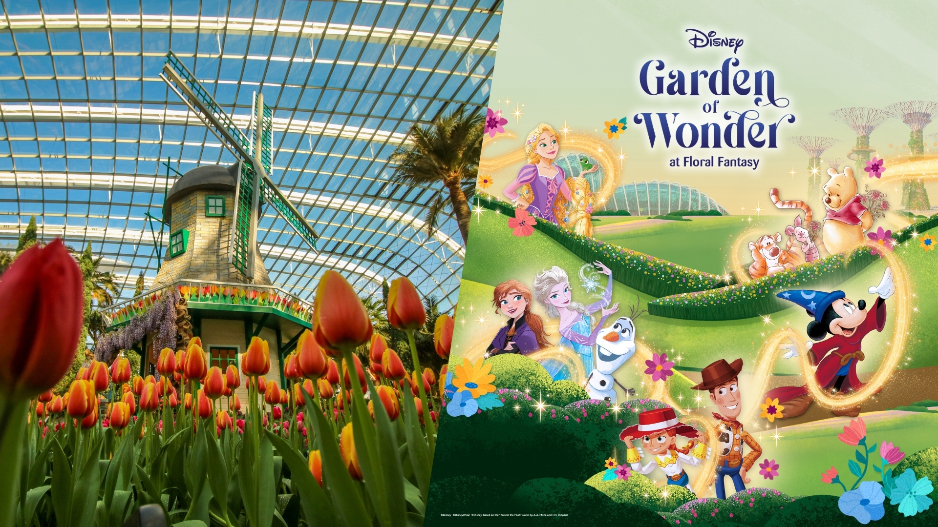June School Holidays' Attractions Promotion