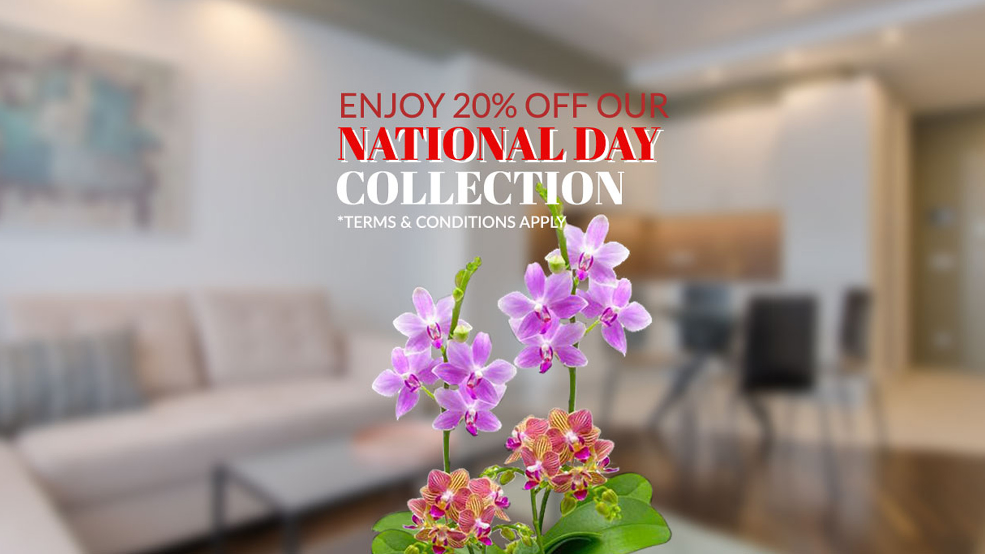 National Day Collection eShop Promotion