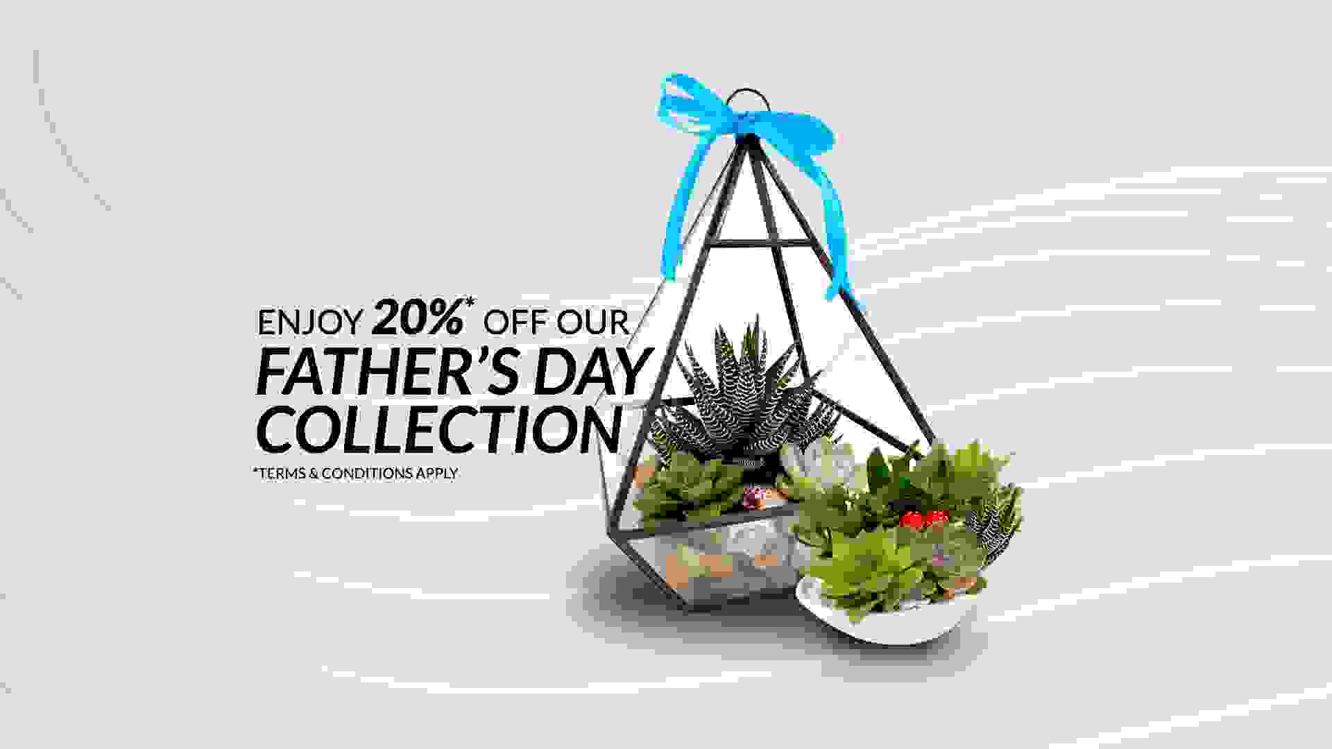 Father's Day eshop Promotion