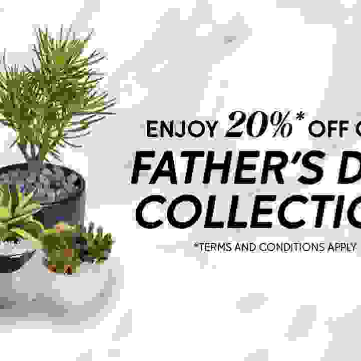 Father&rsquo;s Day eShop Promotion