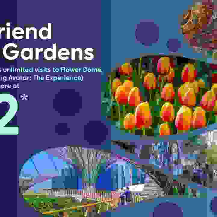 Friends of the Gardens Membership Year-End Promotion