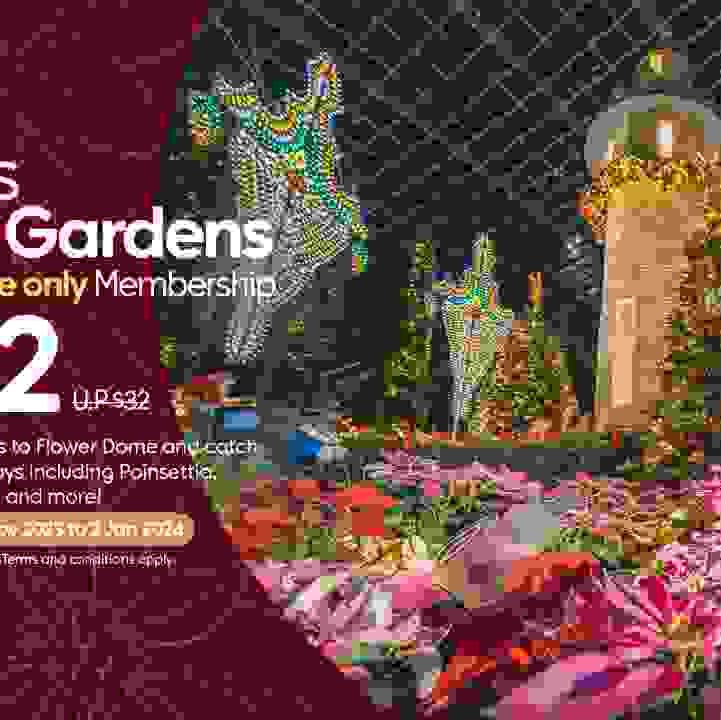 Friends of the Gardens Year End Promotion
