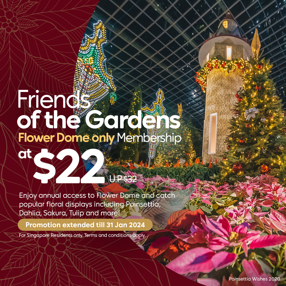 Friends of the Gardens Year End Promotion