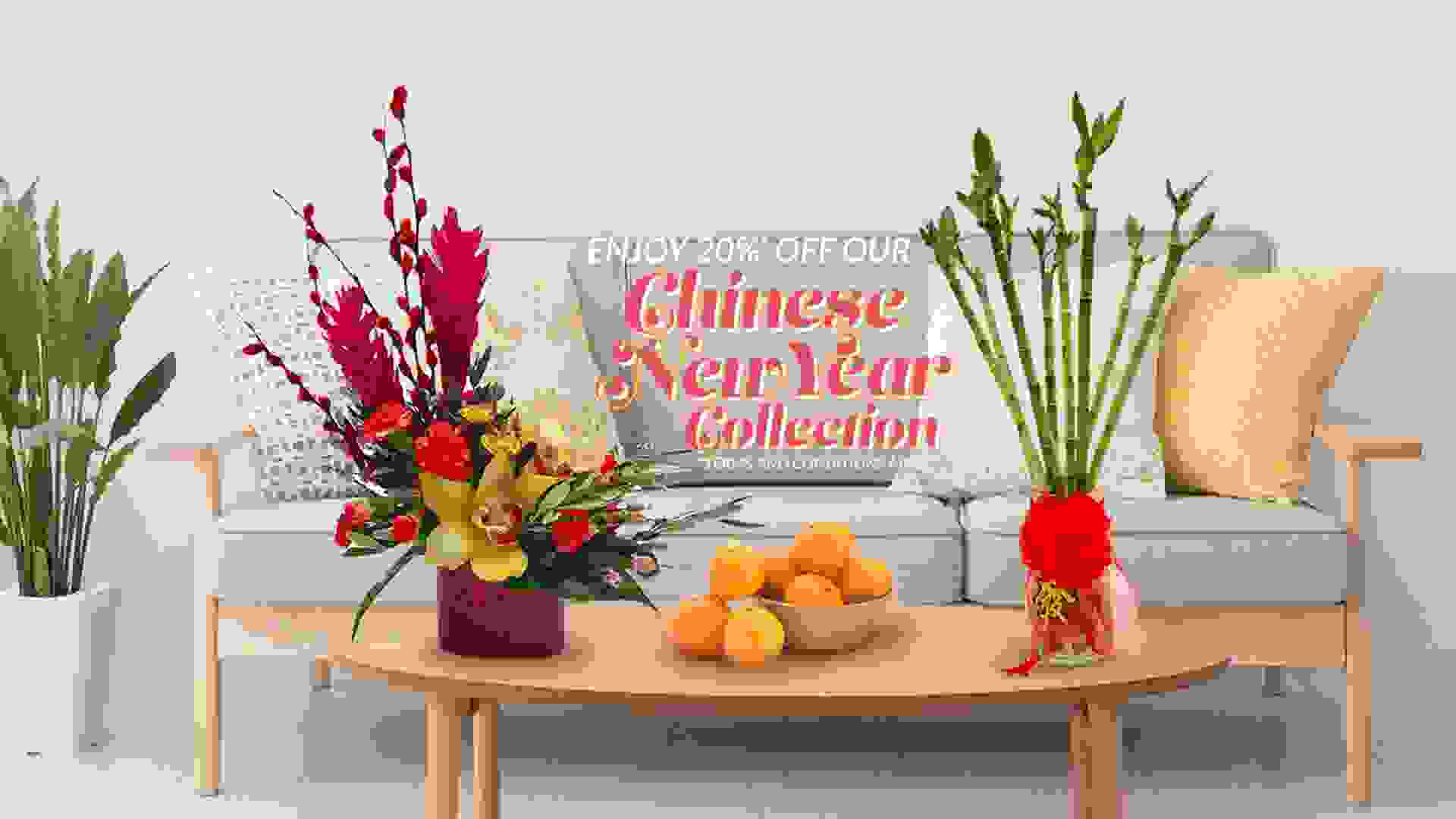 Chinese New Year Collection eShop Promotion