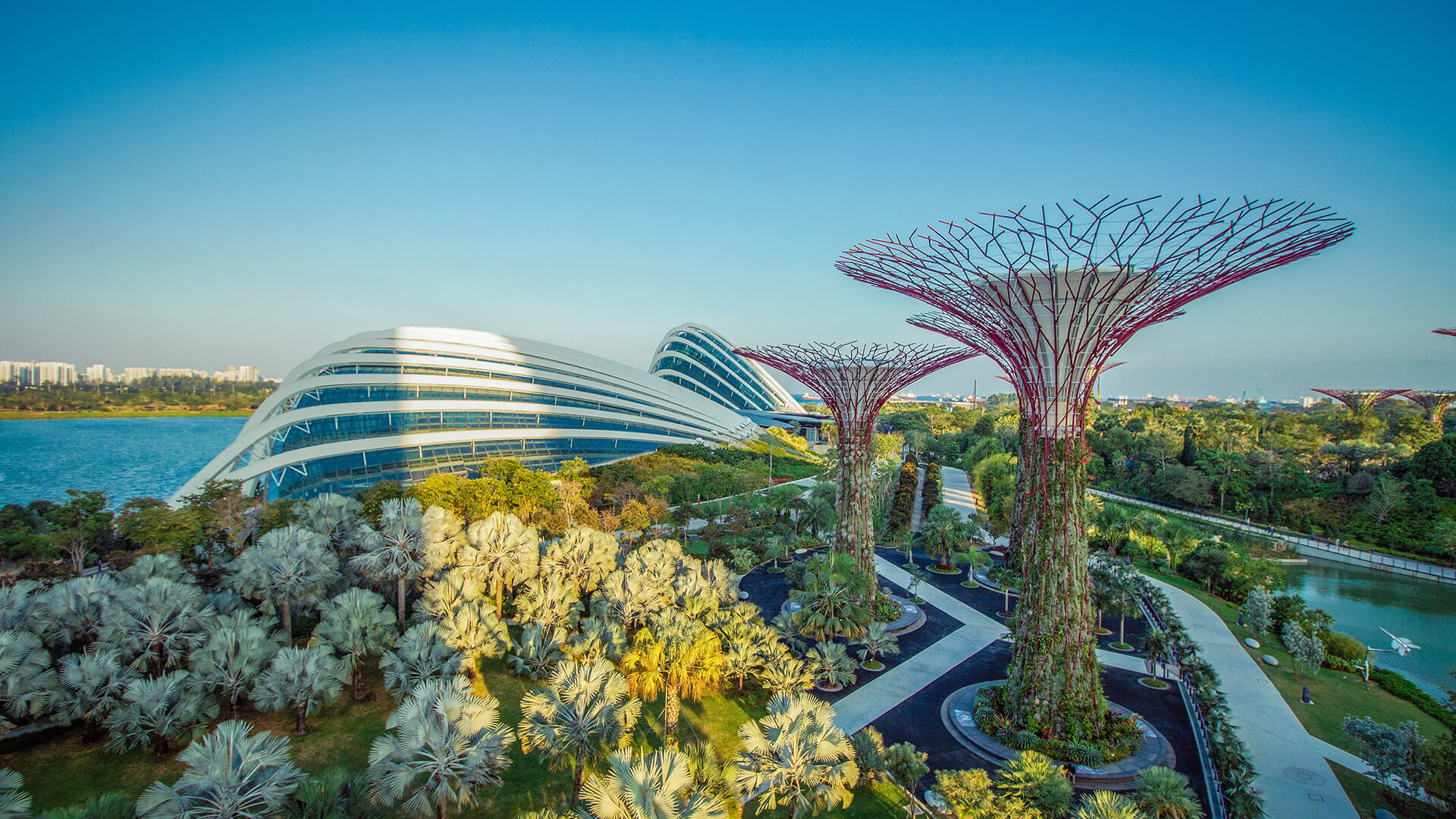 Drone gardens best sale by the bay