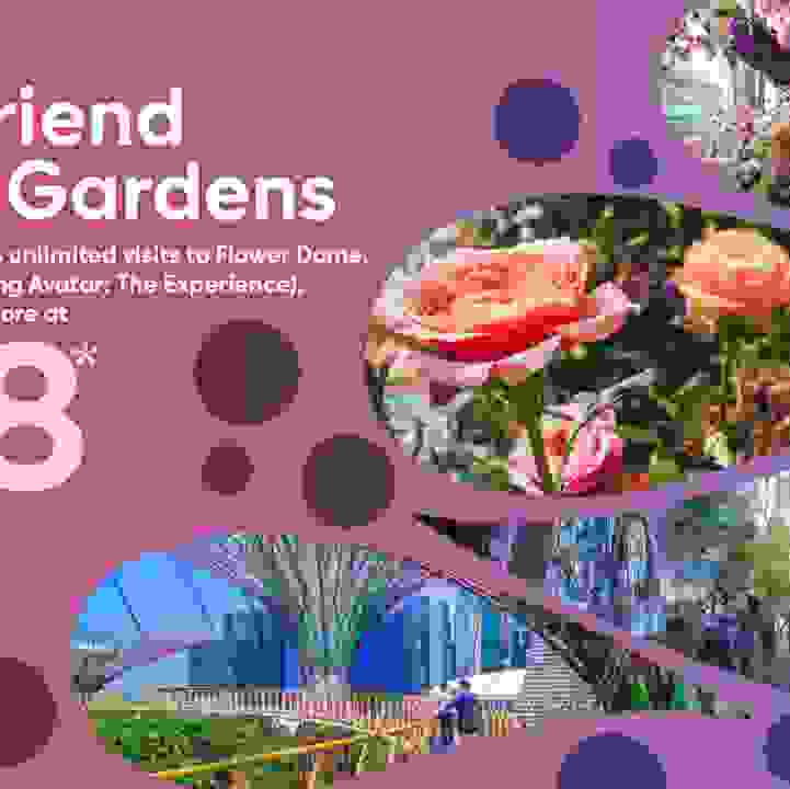 Friends of the Gardens Membership Promotion