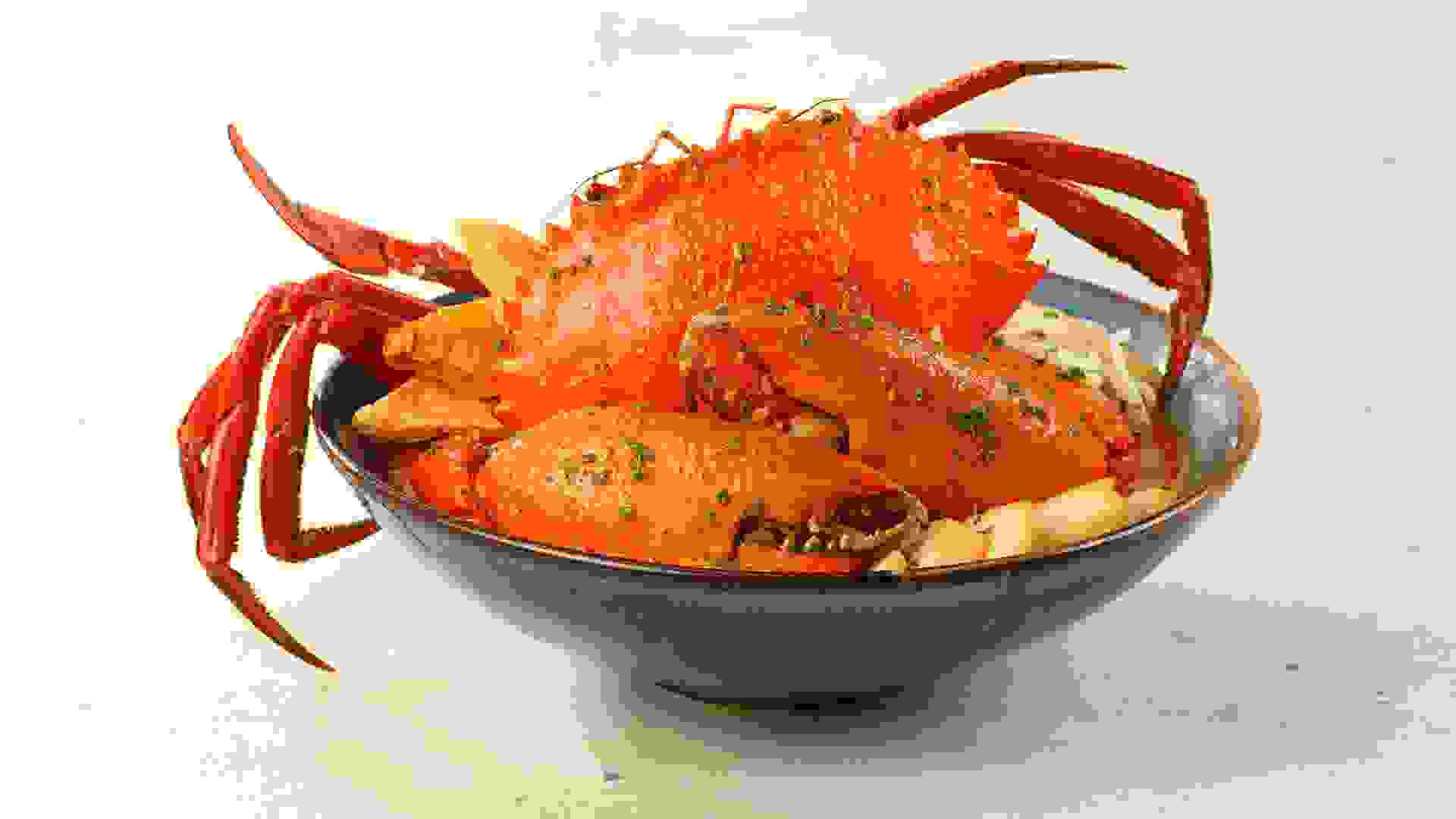 Opening Promotion for Tunglok Seafood