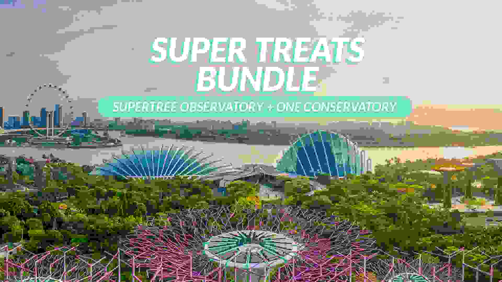 Super Treats Bundle