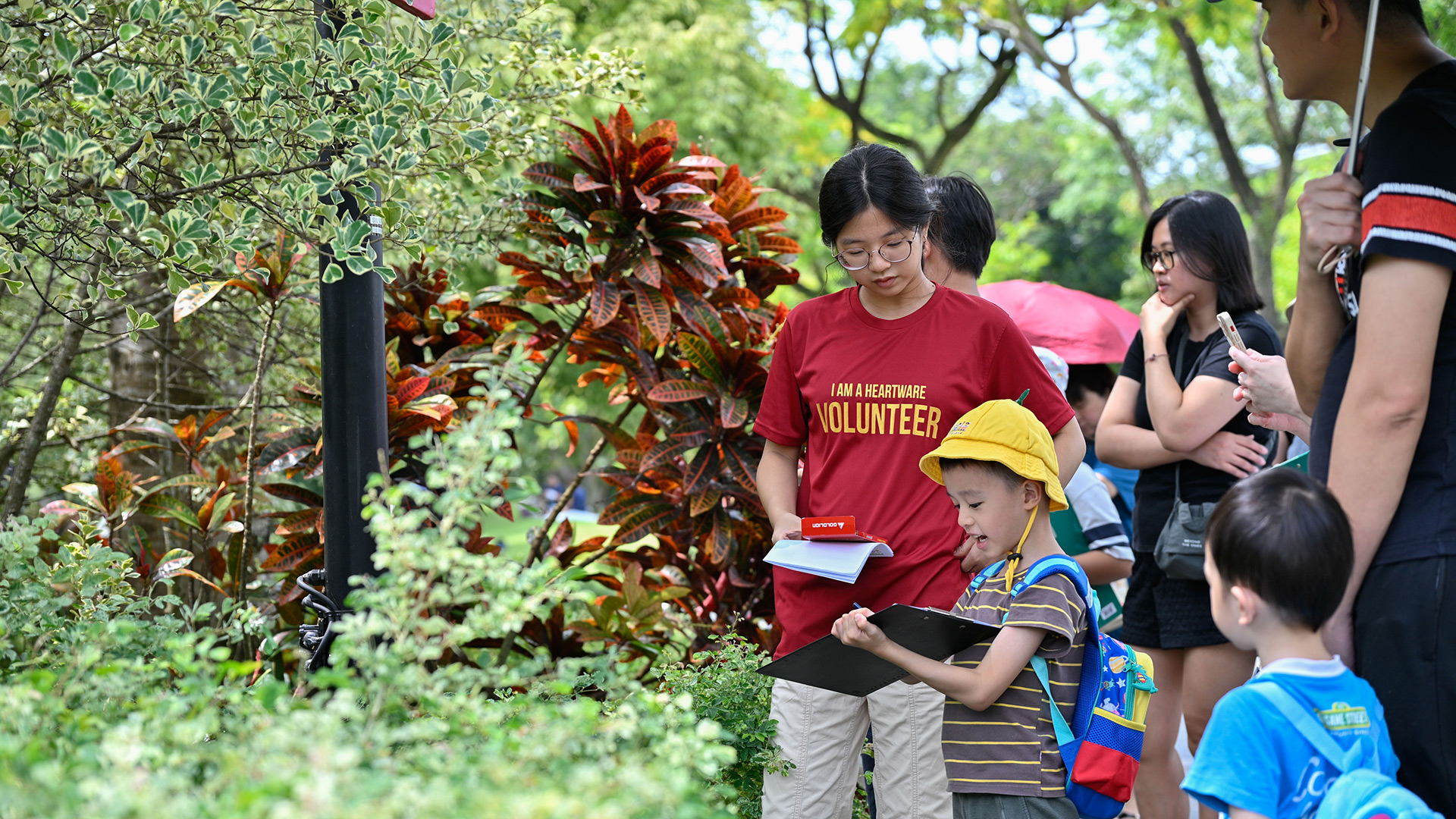 Learning Through Nature