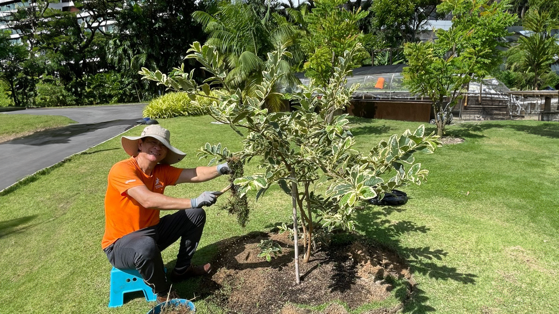 Join us as a Citizen Horticulturist