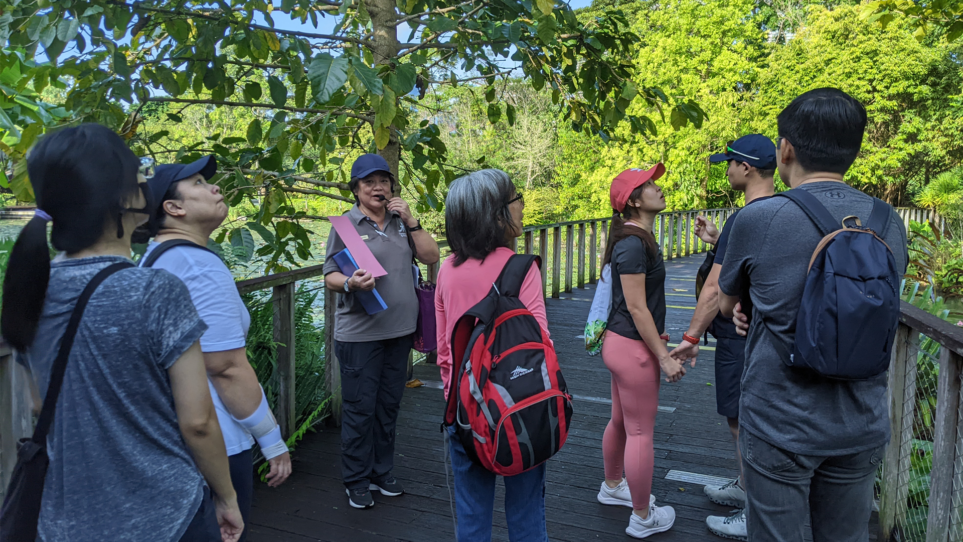 Gardens by the bay