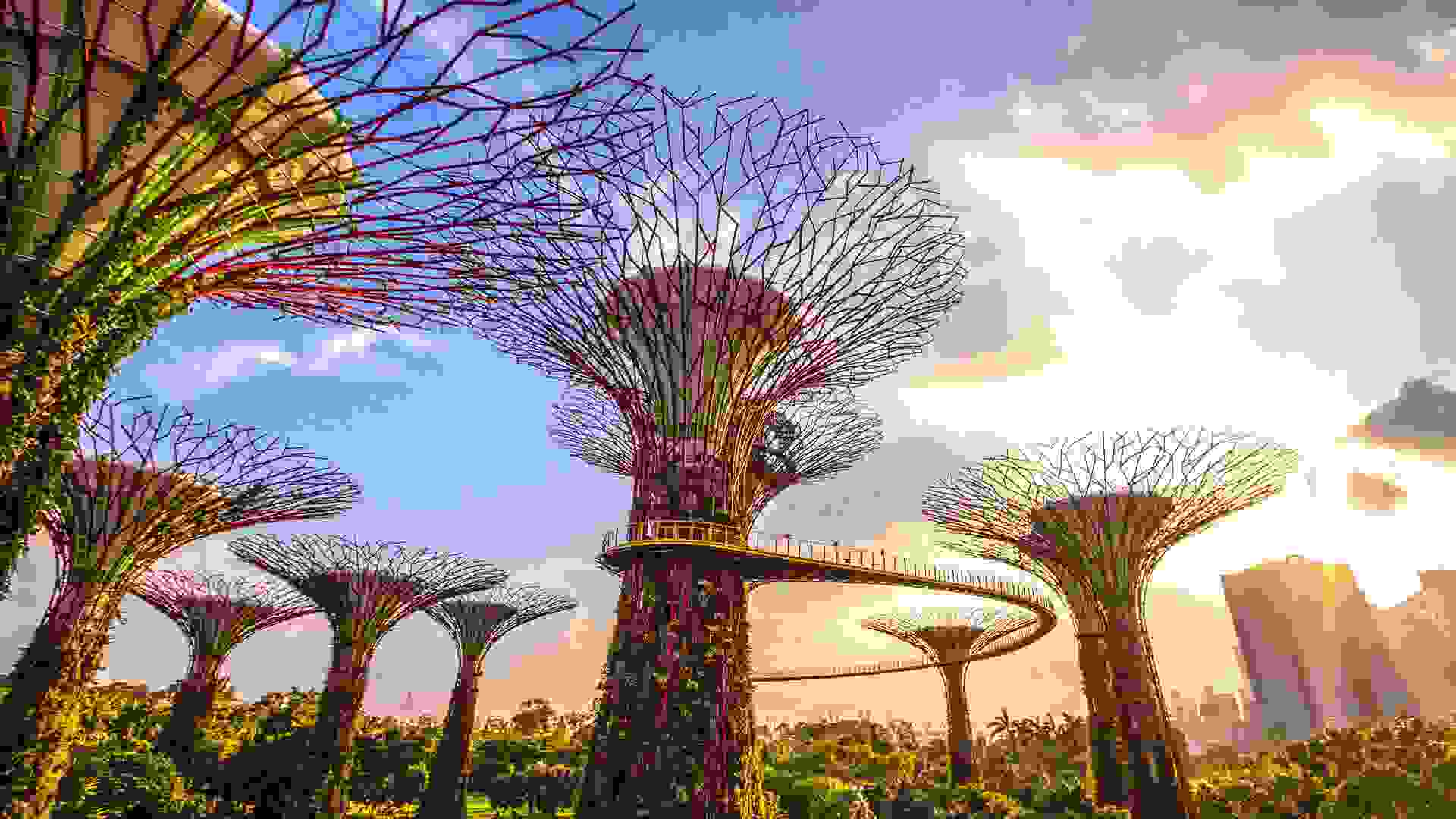 Gardens by the bay