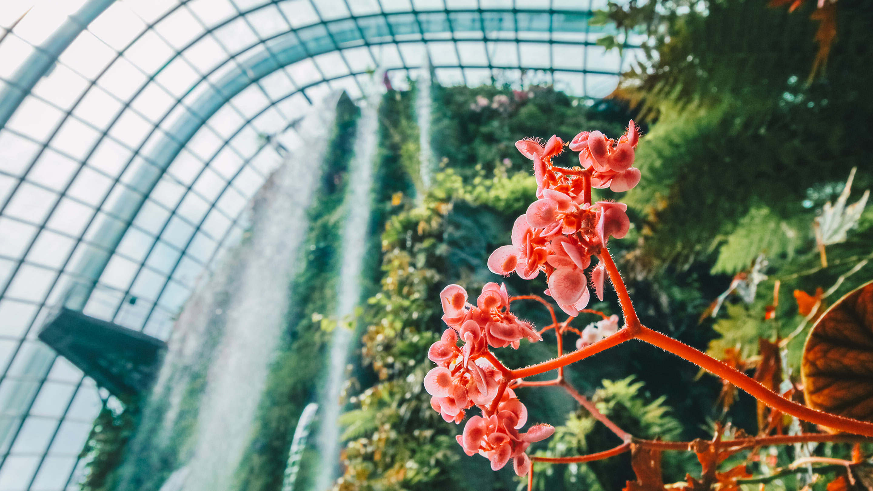 Volunteering at the Gardens