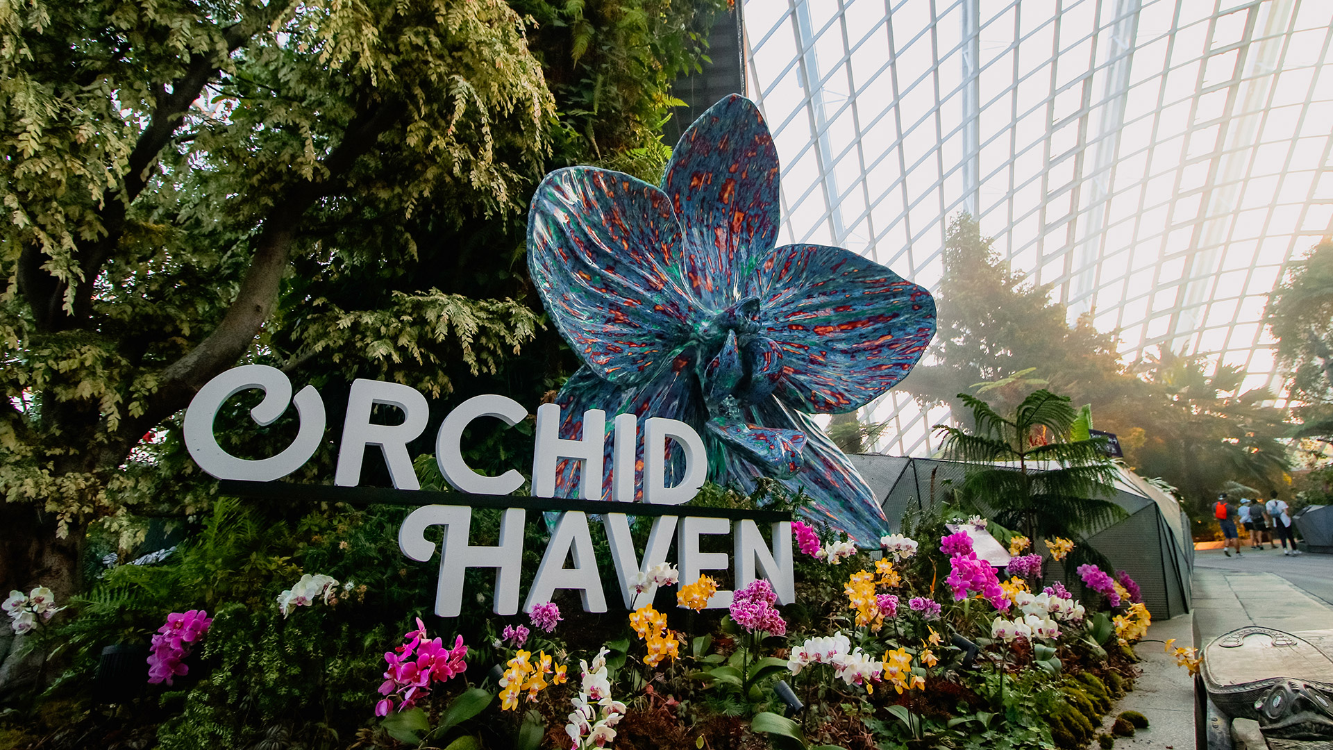 Orchid Haven (NEW)