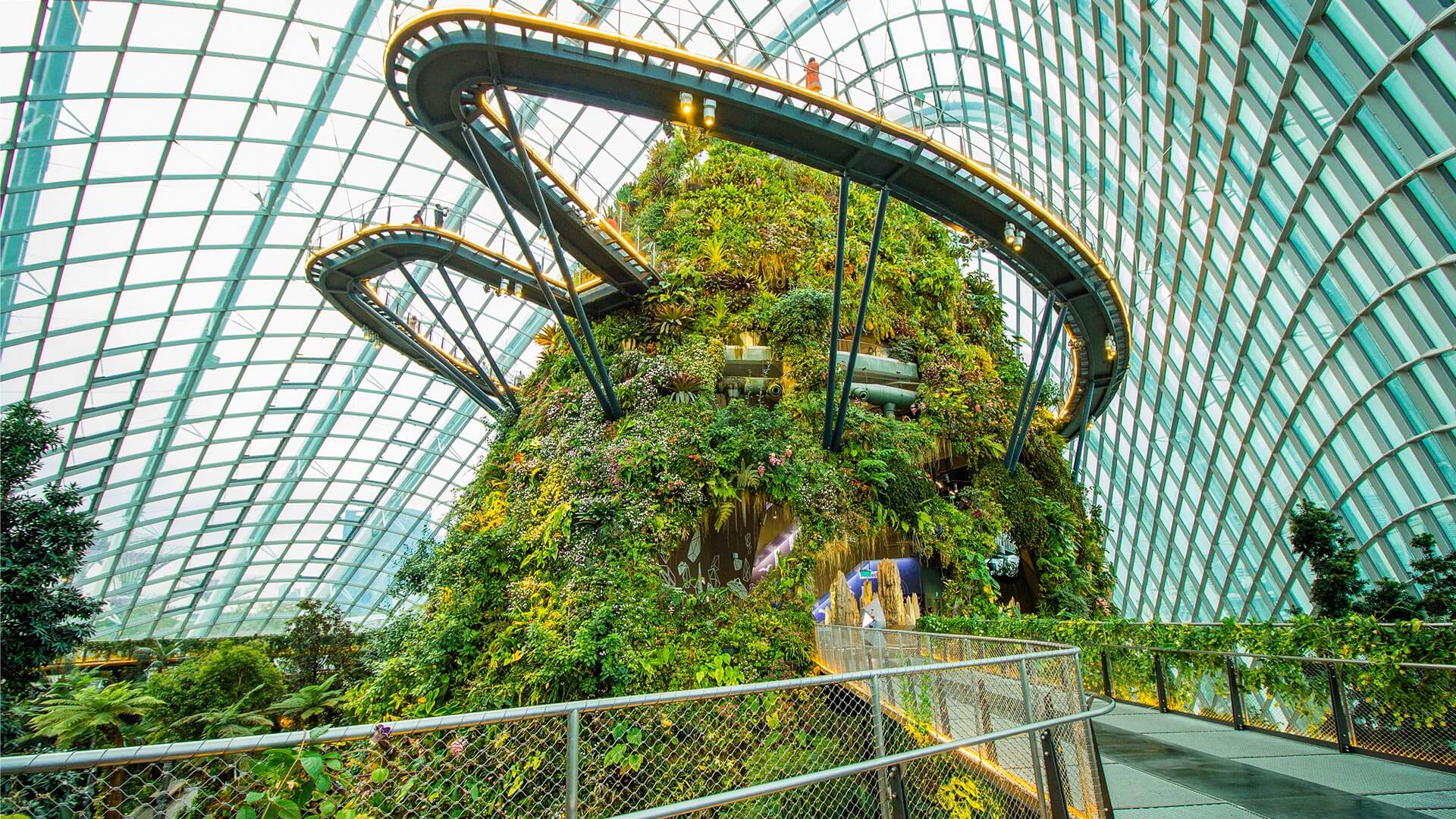 Gardens By The Bay Cloud Forest