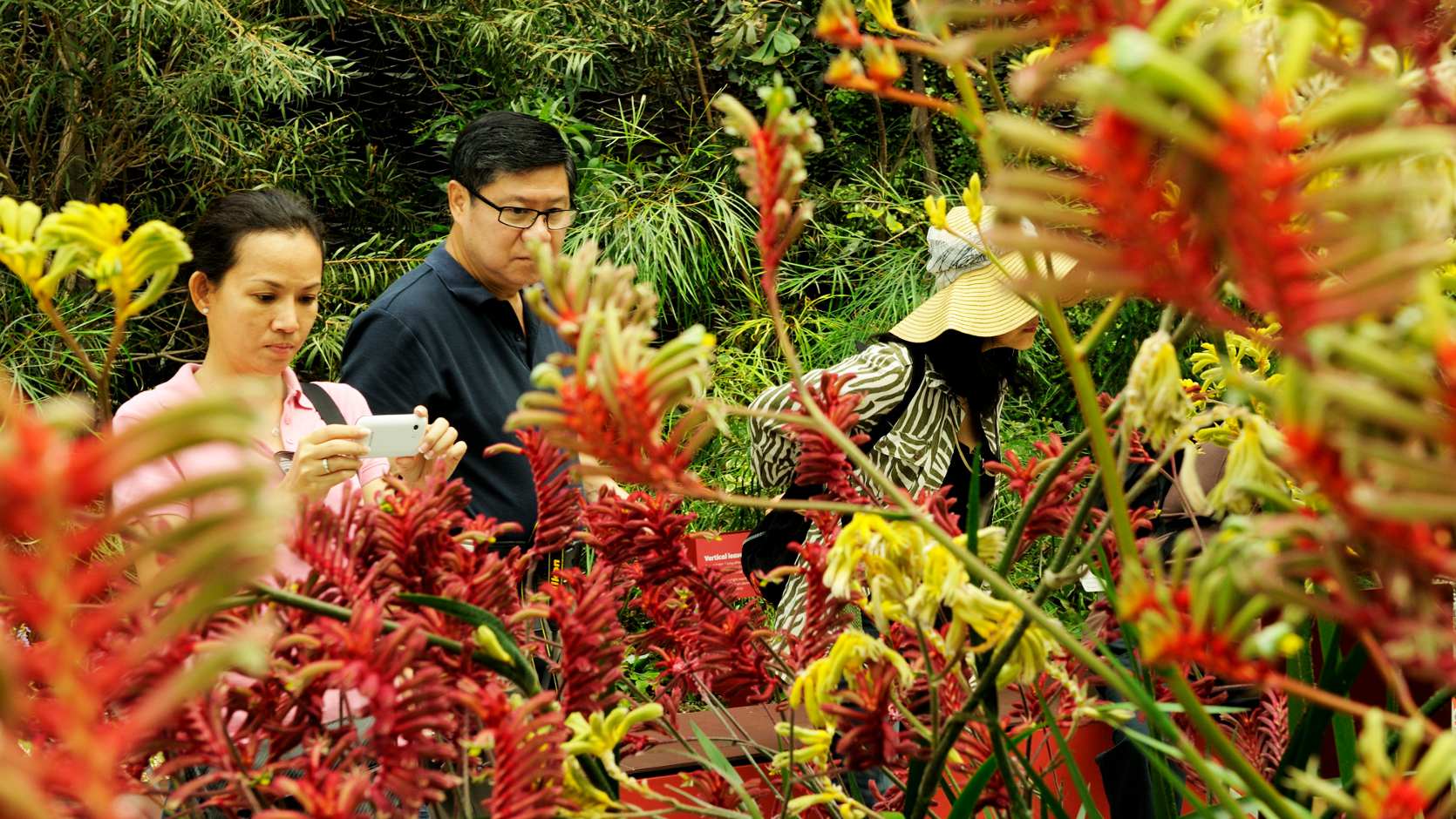 Australian Garden