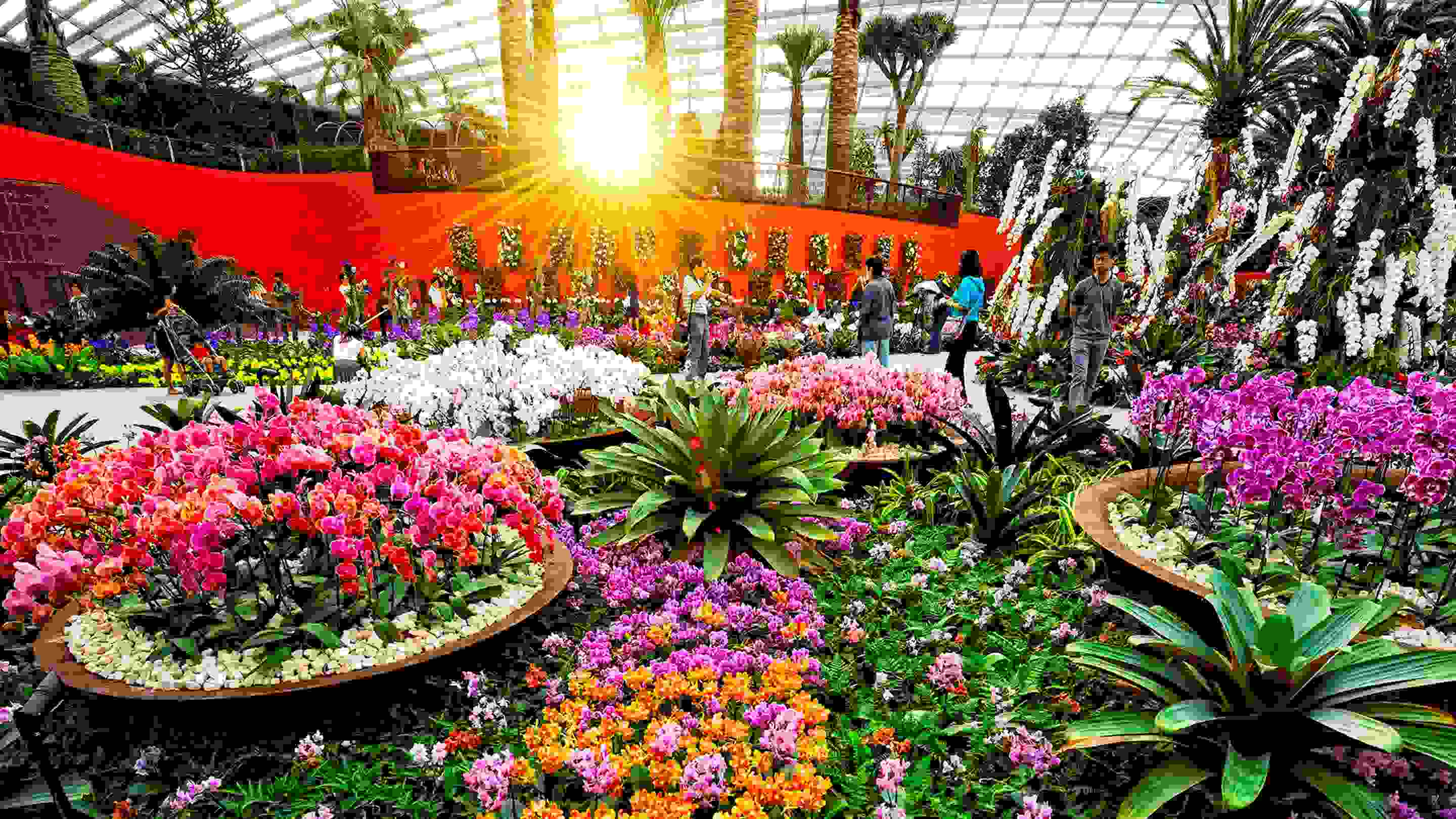 Friends of the Gardens Flower Dome only Membership Promotion