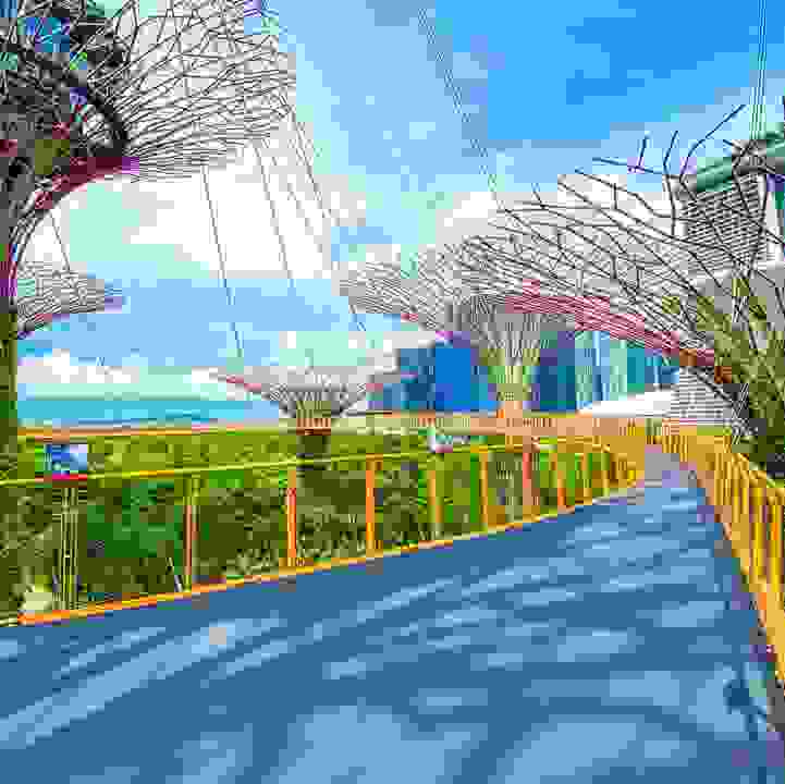 OCBC Skyway