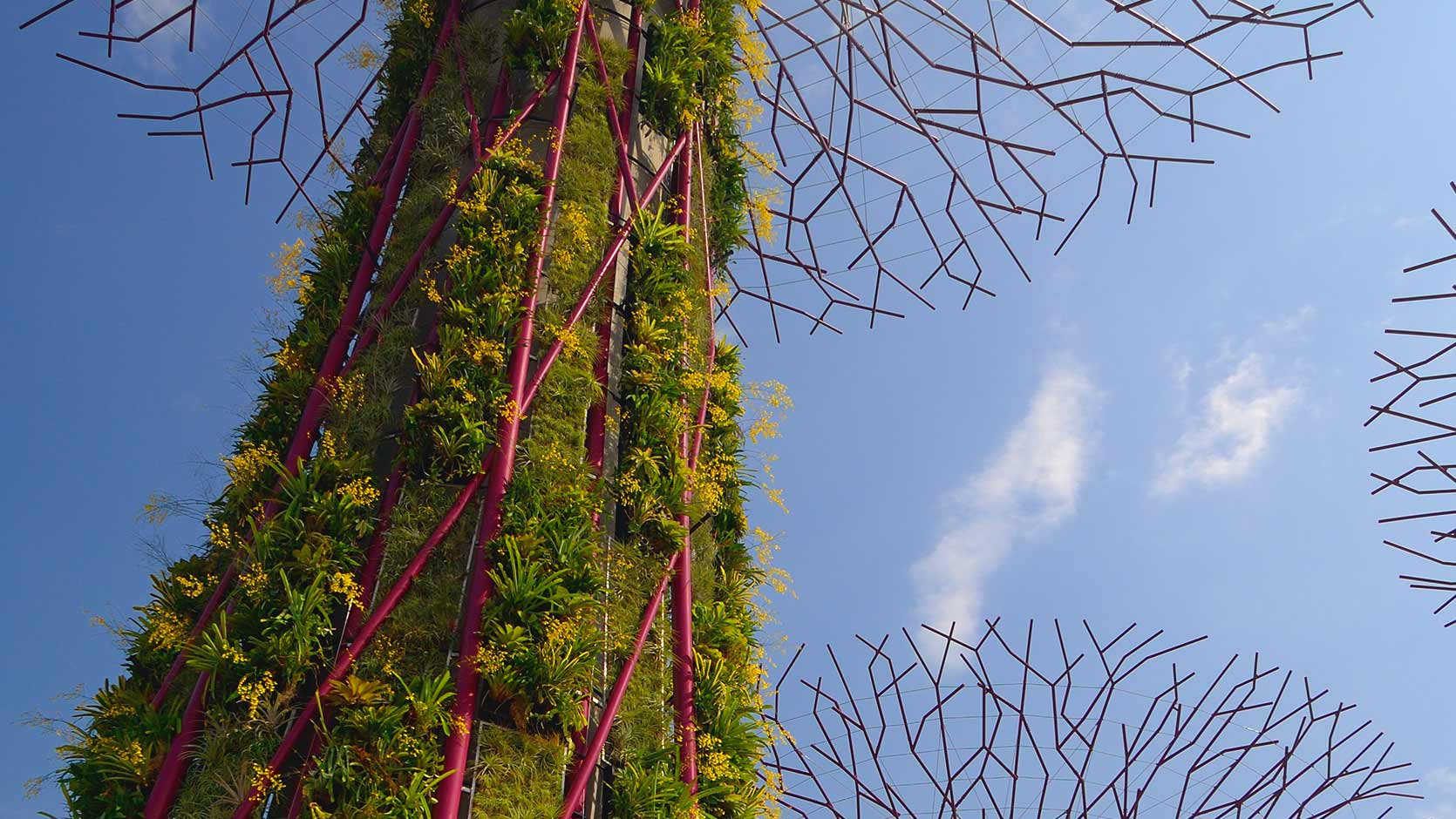 Super vertical gardens