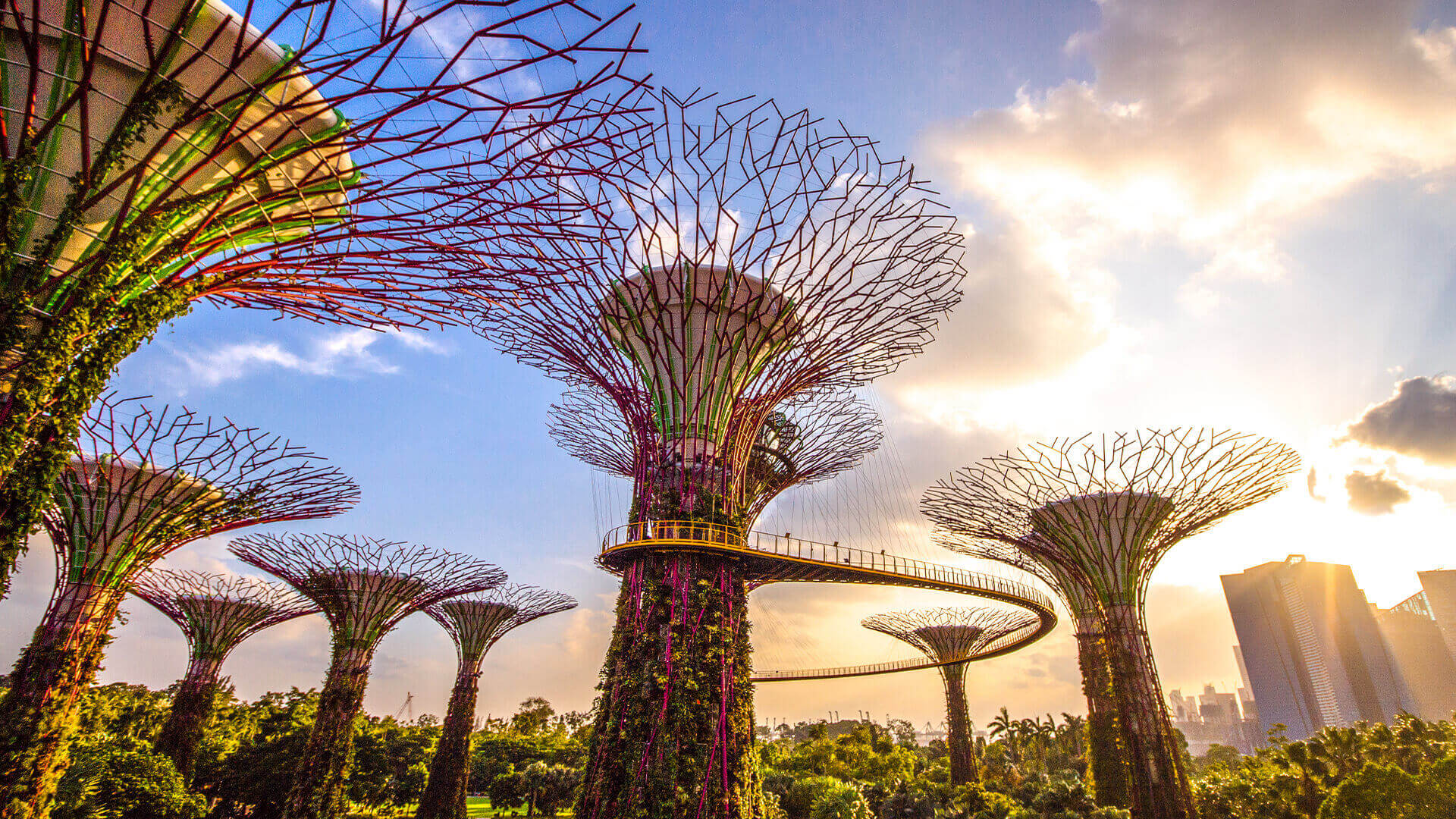 Singapore Gardens By The Bay Supertrees