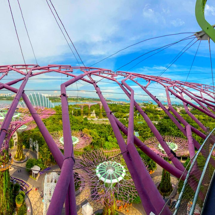 Supertree Observatory