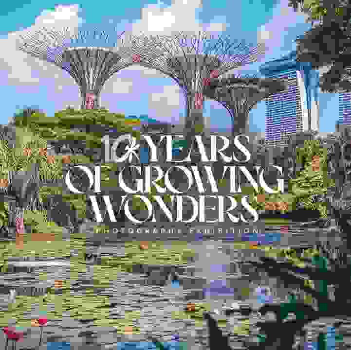 Celebrating 10 years of growing wonders together
