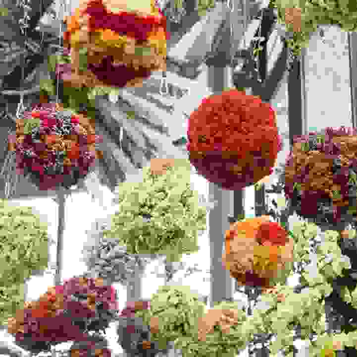 Colours in Bloom Deluxe - Hanging Floral Sphere Workshop
