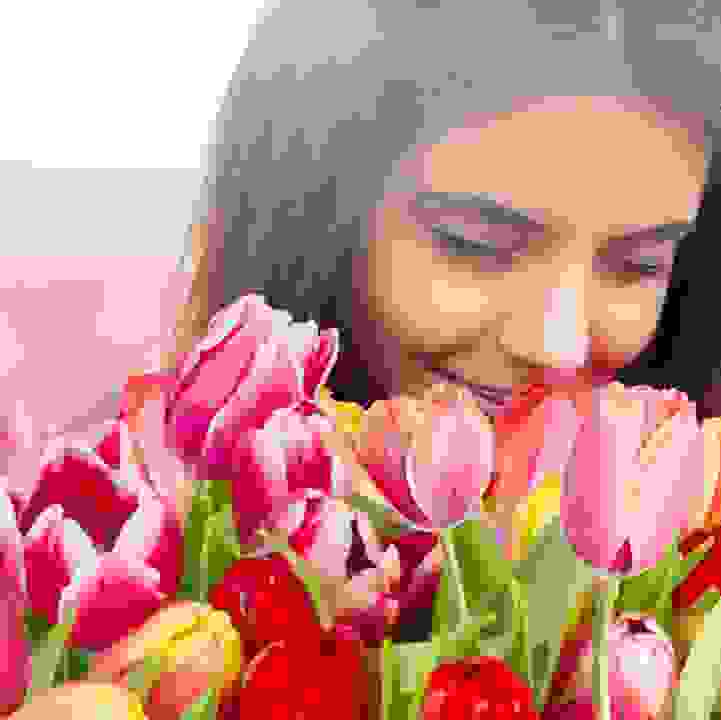Sensory Moments &ndash; Tulipmania