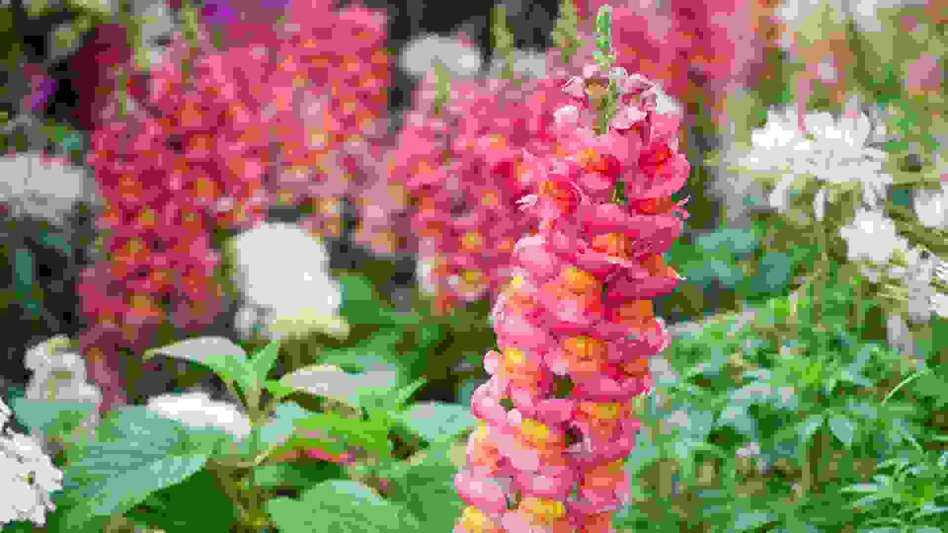 Gardens by the bay