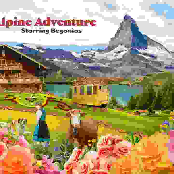 Alpine Adventure Starring Begonias