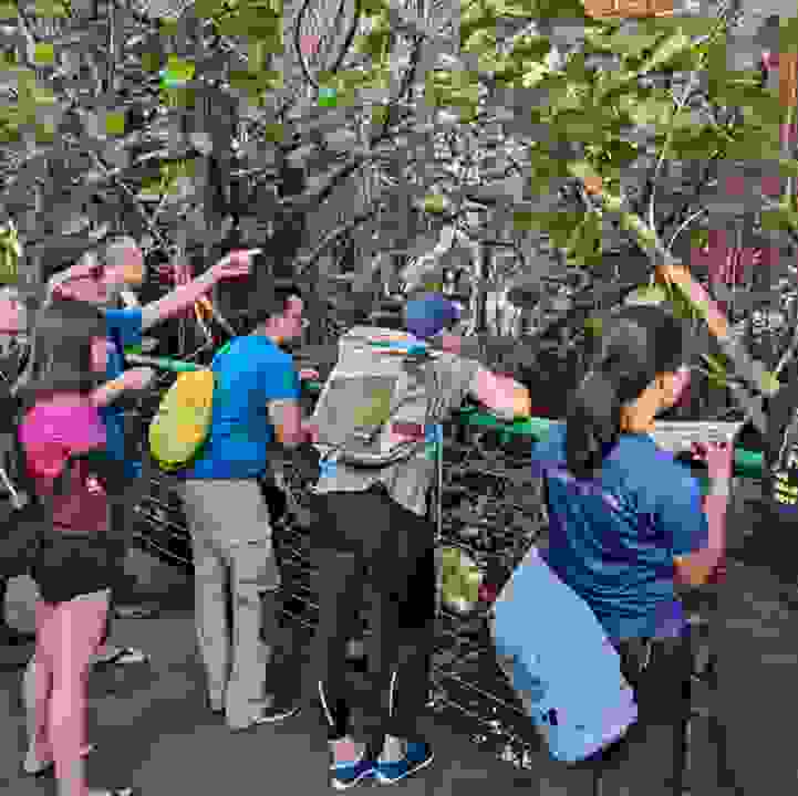 BioBlitz 2025