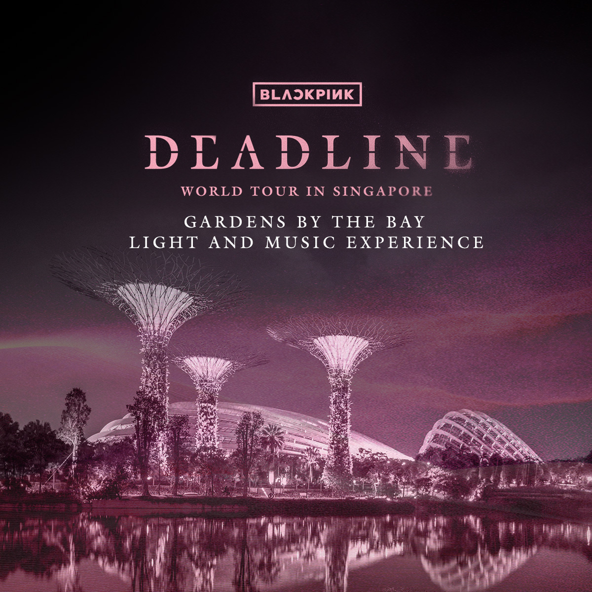 BLACKPINK WORLD TOUR &lt;DEADLINE&gt; in Singapore X Gardens by the Bay Light &amp; Music Experience