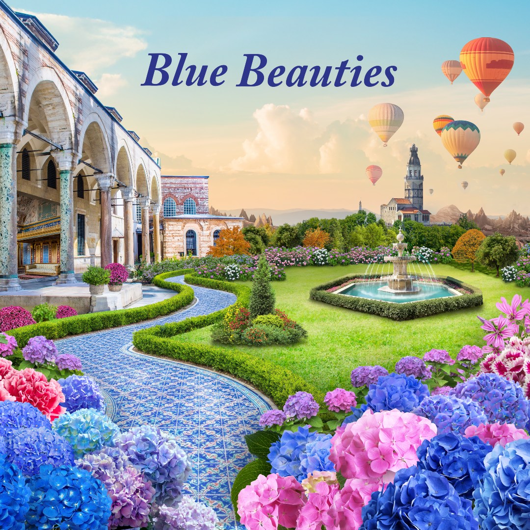 Blue Beauties