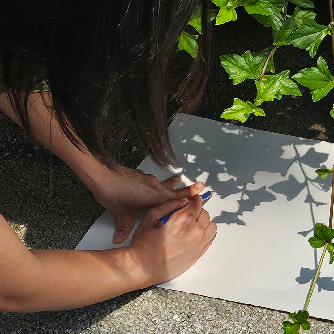 Botanical Silhouettes: Make Your Own Shadow Art
