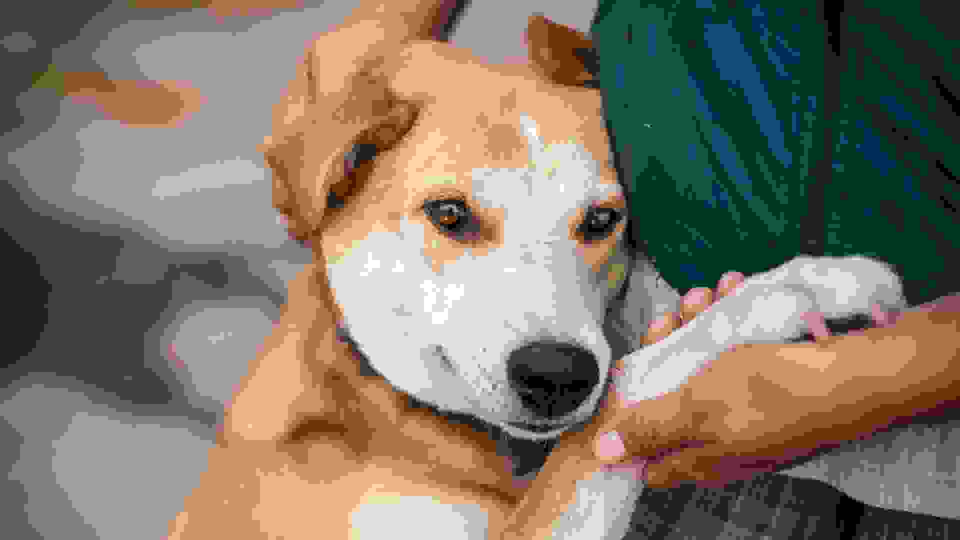 tile-image