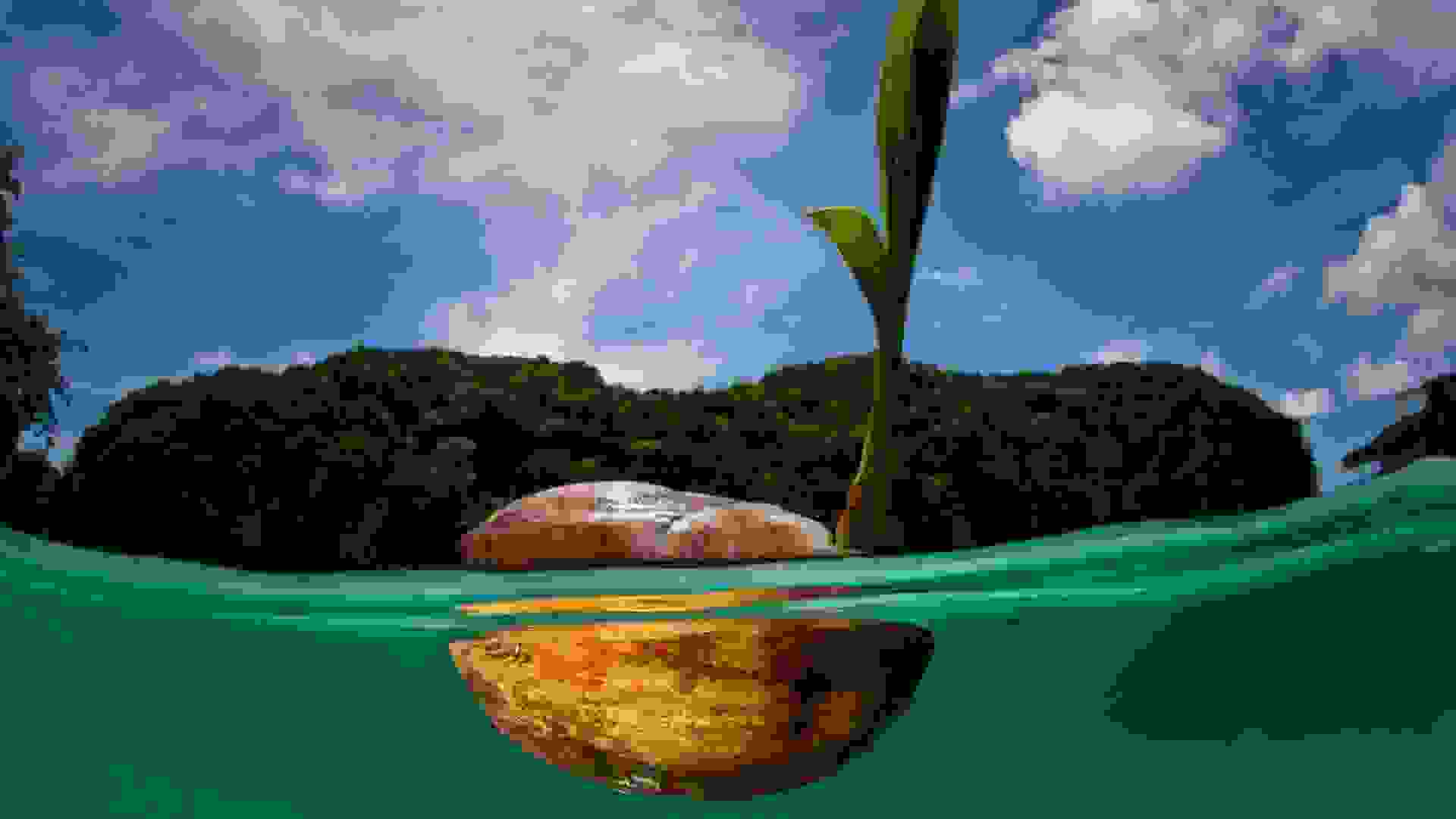 tile-image