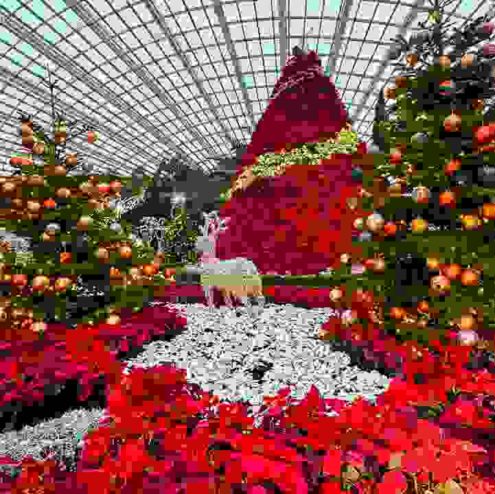 Christmas at the Gardens 2022