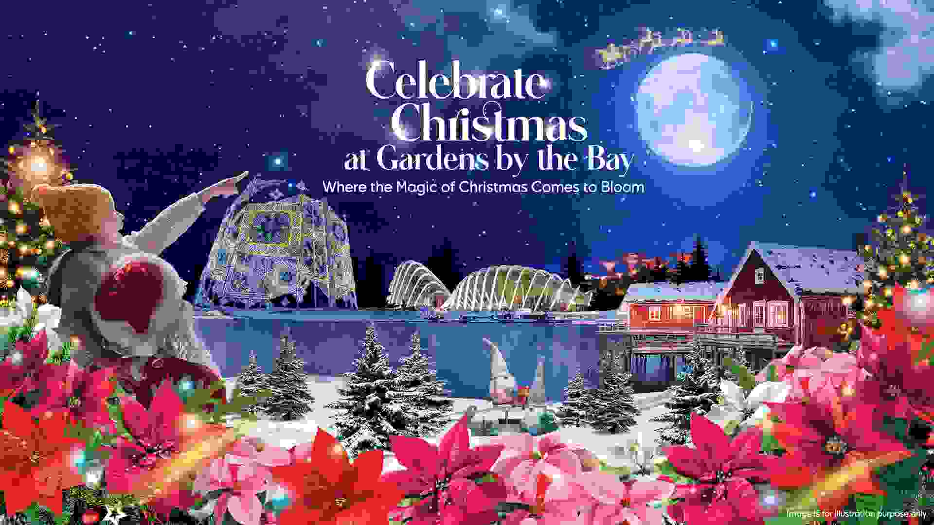 Christmas Bundle Promotion 2023