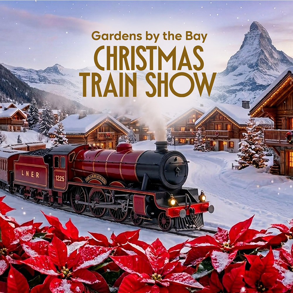 Christmas Train Show 2027