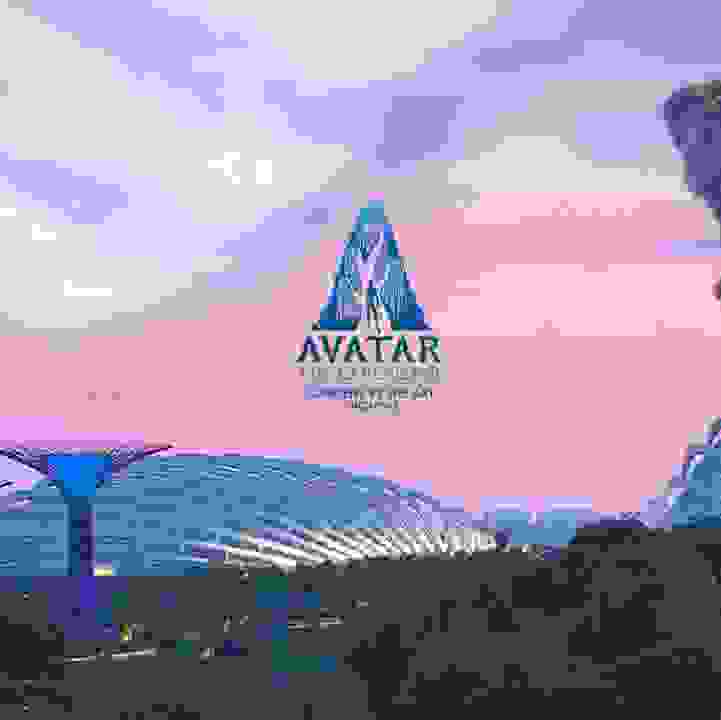 Avatar: The Experience