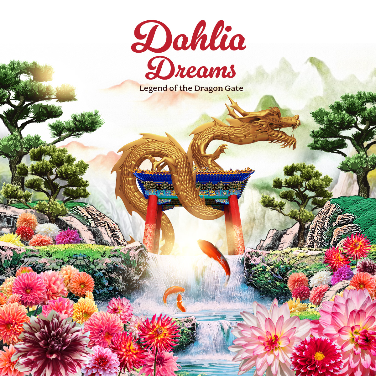 Dahlia Dreams 2024