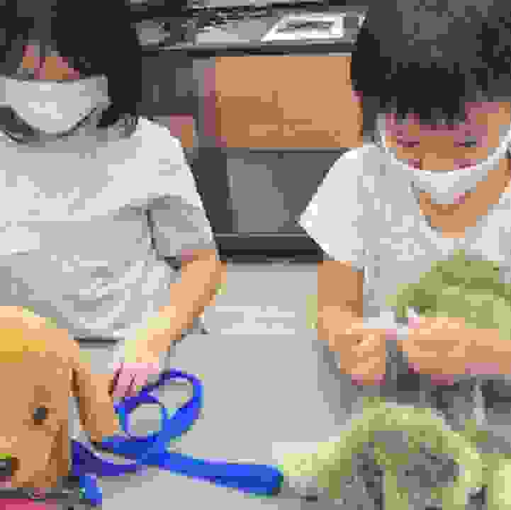 Friends of Dogs (Parent-Child) Workshop