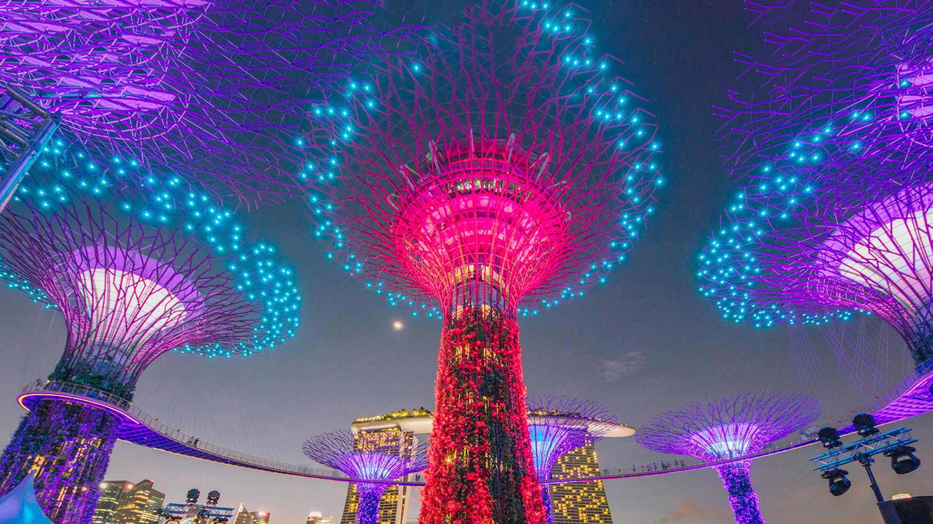 Garden By The Bay Light Show