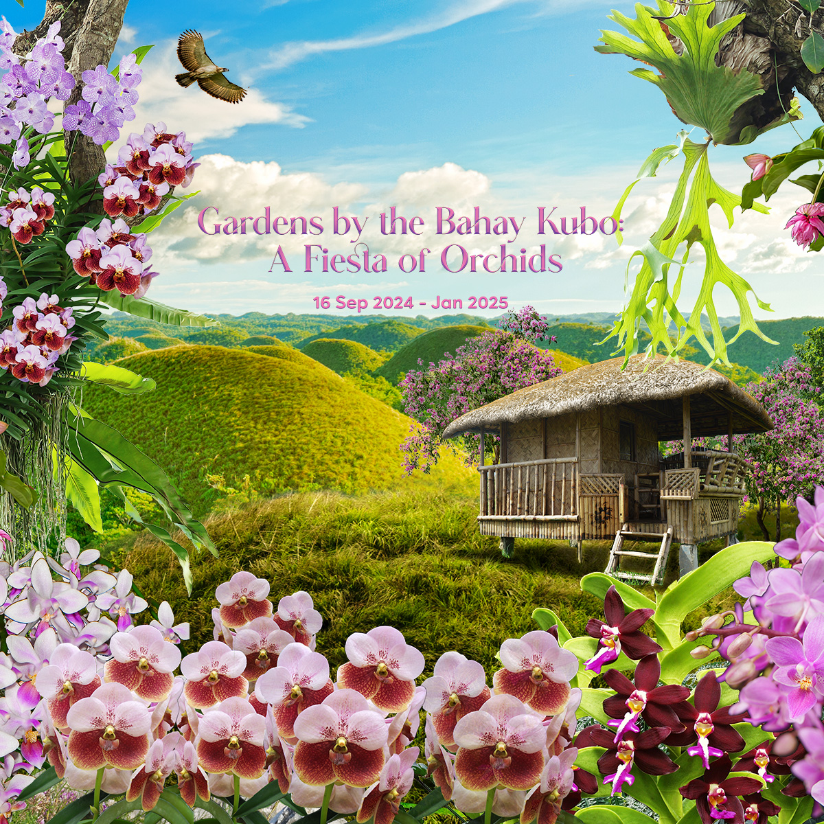 Gardens by the Bahay Kubo: A Fiesta of Orchids