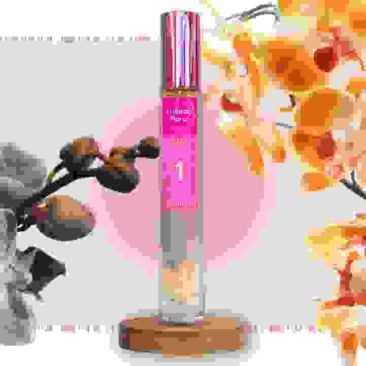 Get Crafty! &ndash; Wellness with Orchids by Singapore Memories