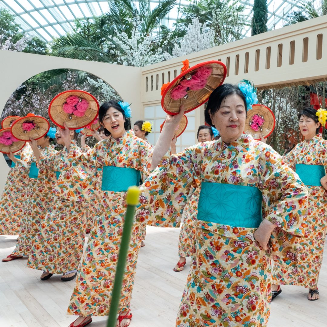 Japanese Cultural Programmes