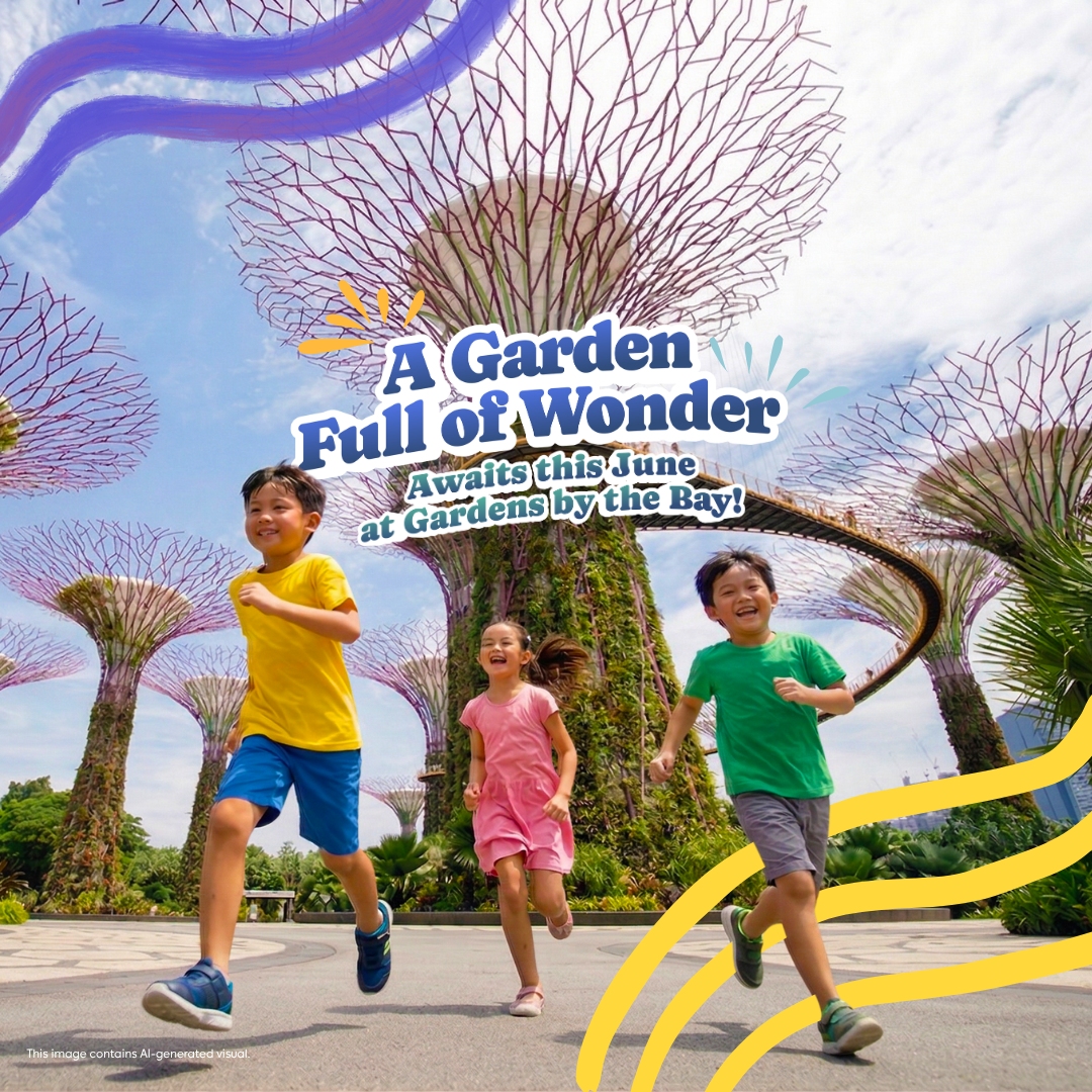 June School Holiday Programmes