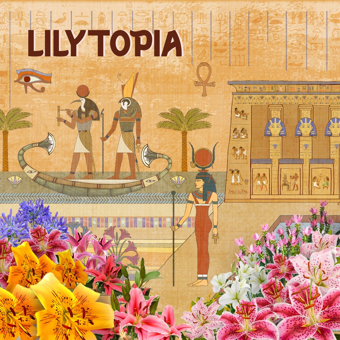 Lilytopia
