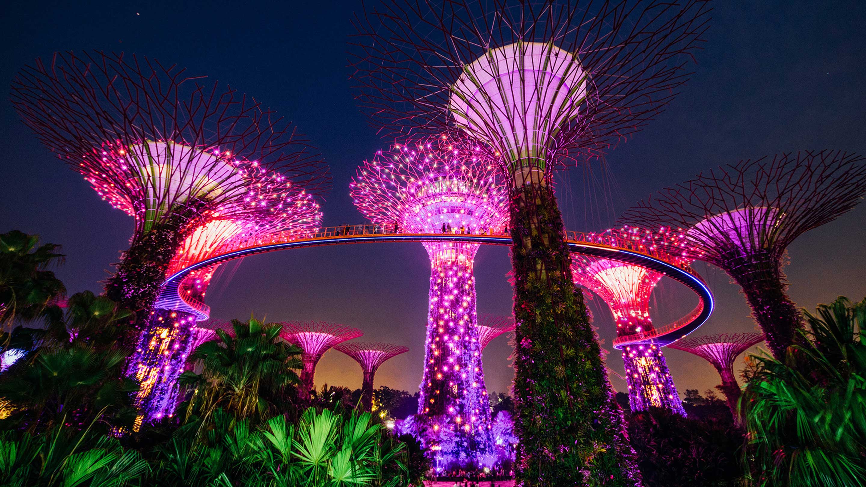 Gardens By The Bay Light Show Schedule At Jason Rico Blog
