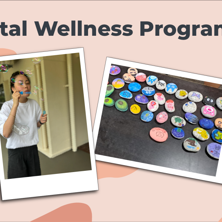 Mental Wellness programme